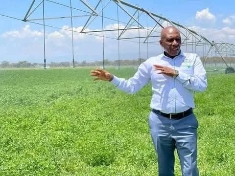 Standing on an irrigated farm under a centre pivot system