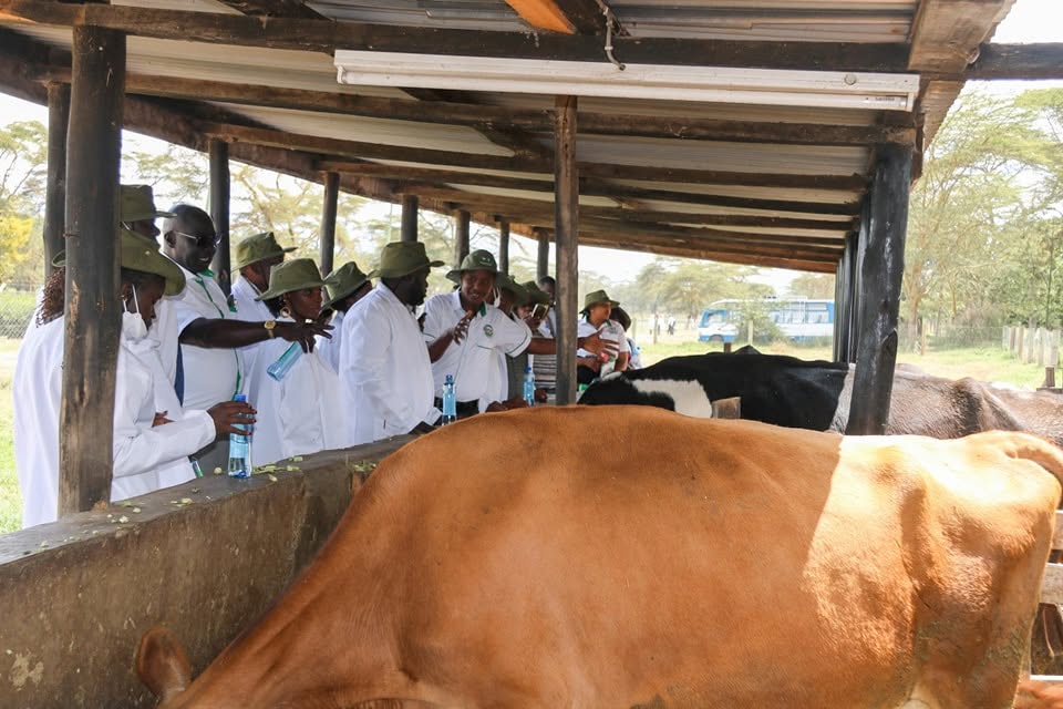 Visiting a dairy unit with a delegation of farmers