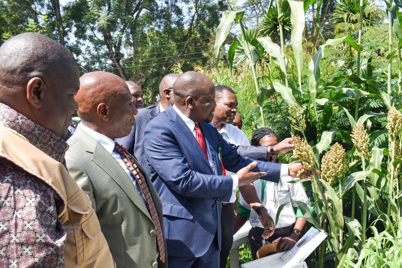 Dr. Thuo Mathenge inspecting crops with agriculture officials in Nyeri